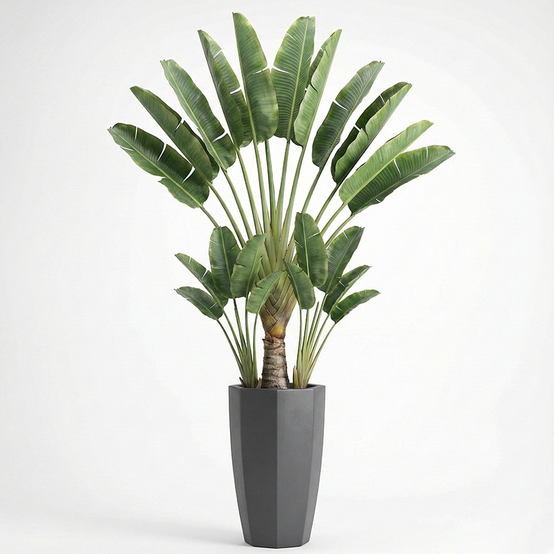 Fiddle Leaf Fig - 고도로 시뮬레이션된 플라스틱 피들리프 무화과 인조