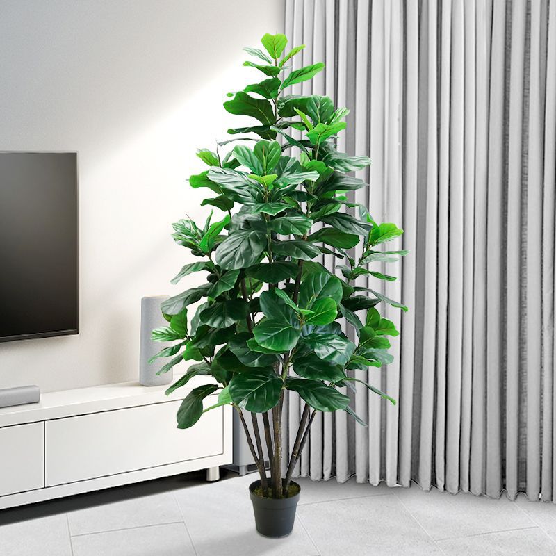 Fiddle Leaf Fig - 35-150cm 열대 나무 대형 인조 고무나무(피쿠스