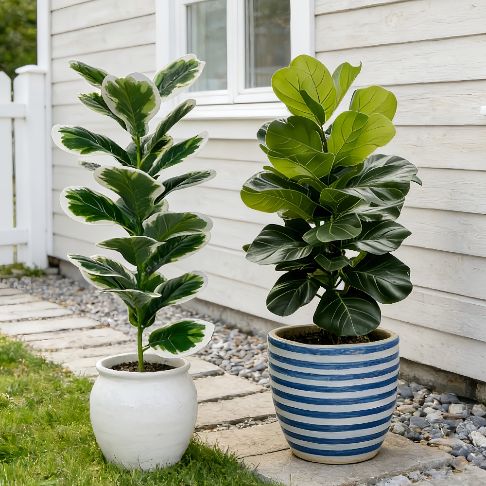 Fiddle Leaf Fig - 실외 인조 반얀 나무, 정원, 현관,