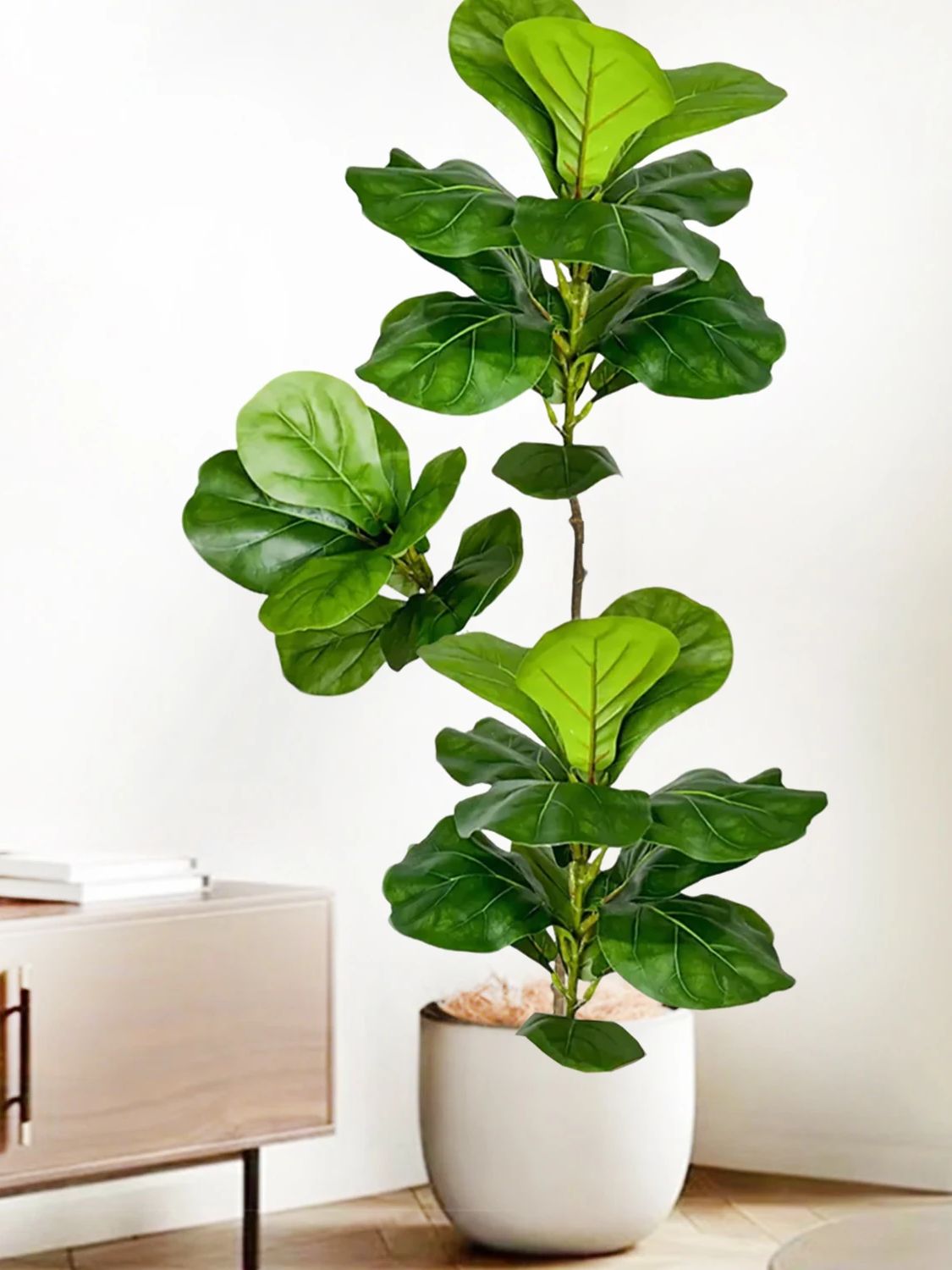 45-135cm 인조 피클리프 무화과나무 인조 피쿠스  - Fiddle Leaf Fig 리뷰 및 가격