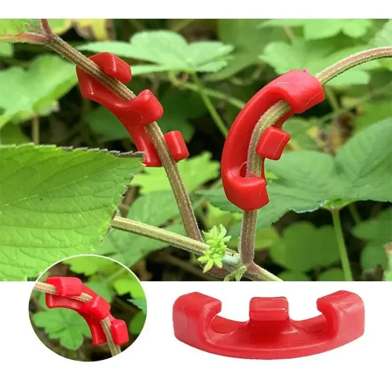 10-100개입 90도 식물 벤딩 클립, LST 저스트 - Plant Parent Tools 리뷰 및 가격