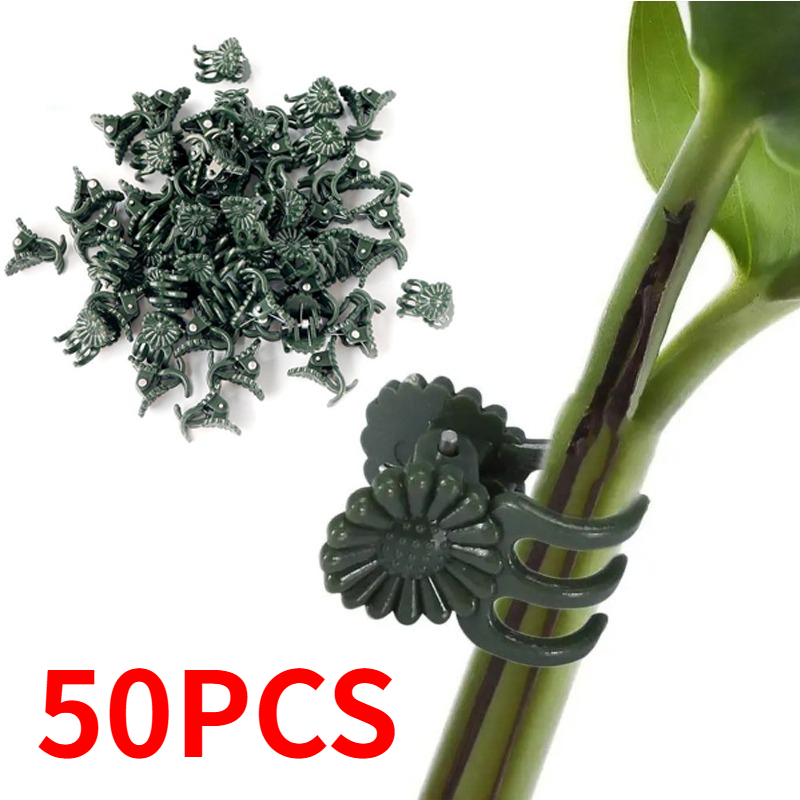 50개입 5발톱 짙은 녹색 식물 클립 난초 꽃 지지대  - Plant Parent Tools 리뷰 및 가격