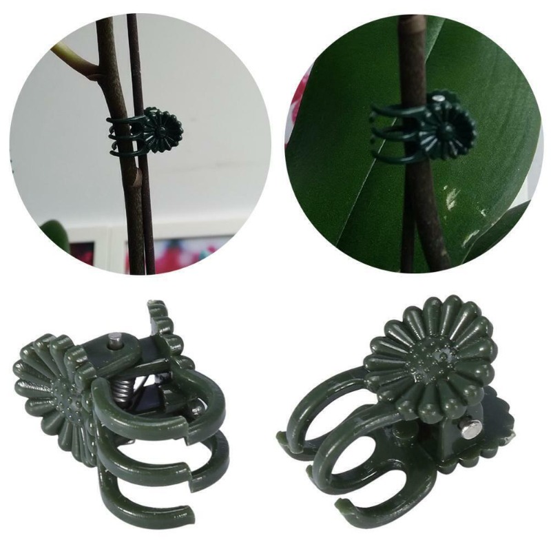 50개입 5발톱 짙은 녹색 식물 클립 난초 꽃 지지대  - Plant Parent Tools 리뷰 및 가격