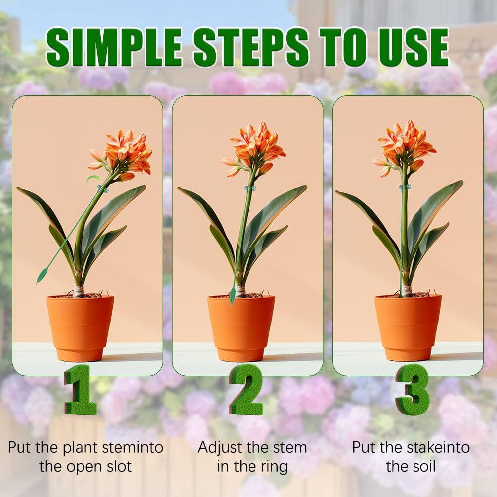 5/10PCS 식물 지지대 스탠드 나비 난초 꽃 화분  - Plant Parent Tools 리뷰 및 가격