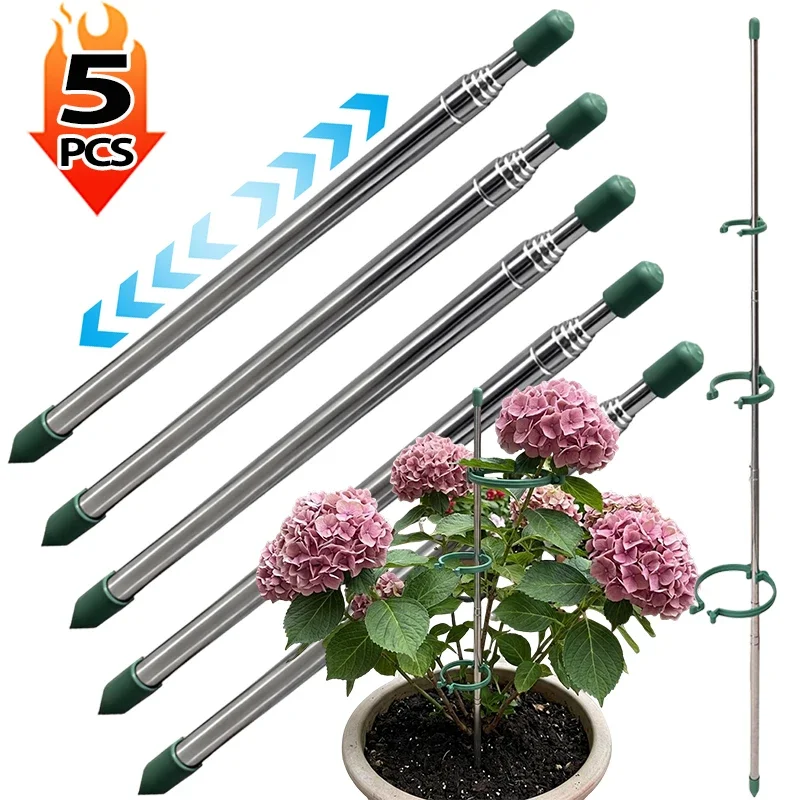 5/1개 접이식 식물 지지 링, 화분용 녹색 지지대,  - Plant Parent Tools 리뷰 및 가격