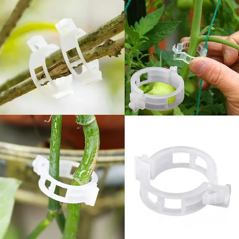 재사용 가능한 식물 고정 클립, 식물 야채 덩굴 연결, - Plant Parent Tools 리뷰 및 가격