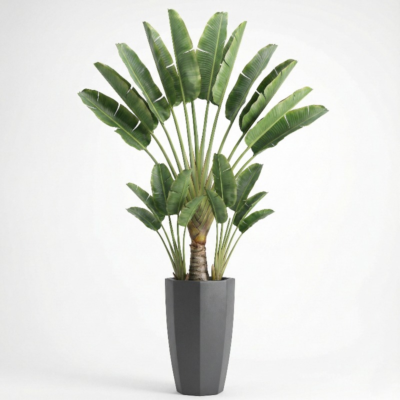 고도로 시뮬레이션된 플라스틱 피들리프 무화과 인조 분재 - Fiddle Leaf Fig 리뷰 및 가격