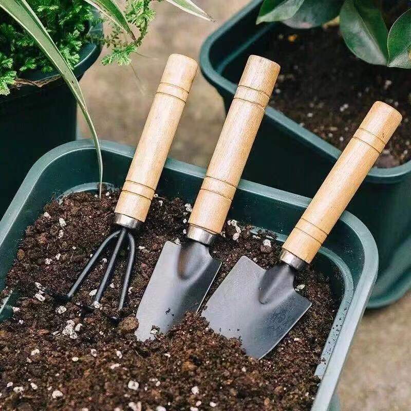 3PC/1세트 미니 원예 도구 세트 휴대용 소형 원예  - Plant Parent Tools 리뷰 및 가격