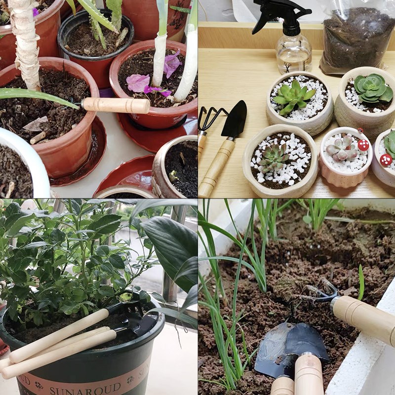 3PC/1세트 미니 원예 도구 세트 휴대용 소형 원예  - Plant Parent Tools 리뷰 및 가격
