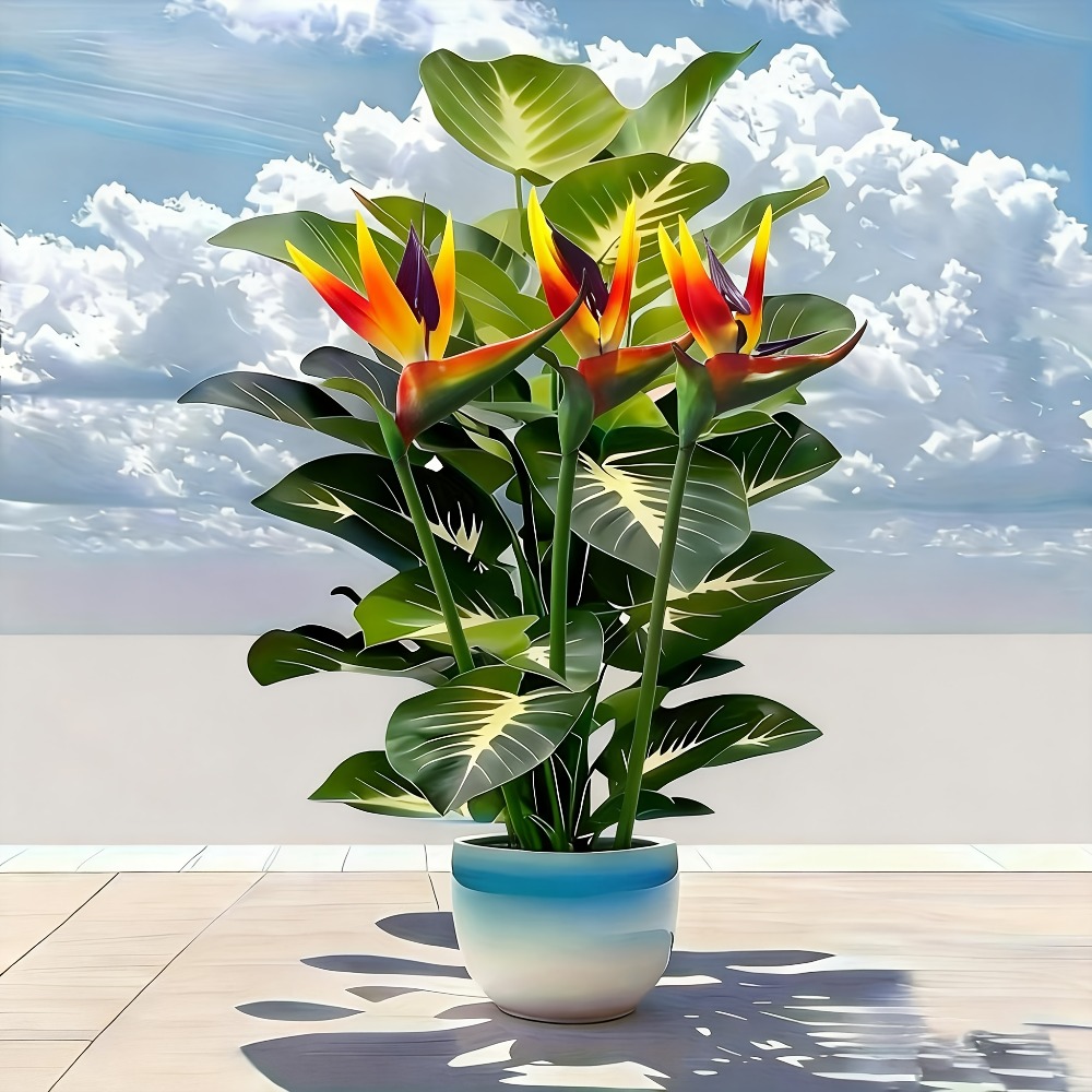 정원, 쇼핑센터, 호텔, 사무실, 가정, 결혼식 등 야 - Fiddle Leaf Fig 리뷰 및 가격