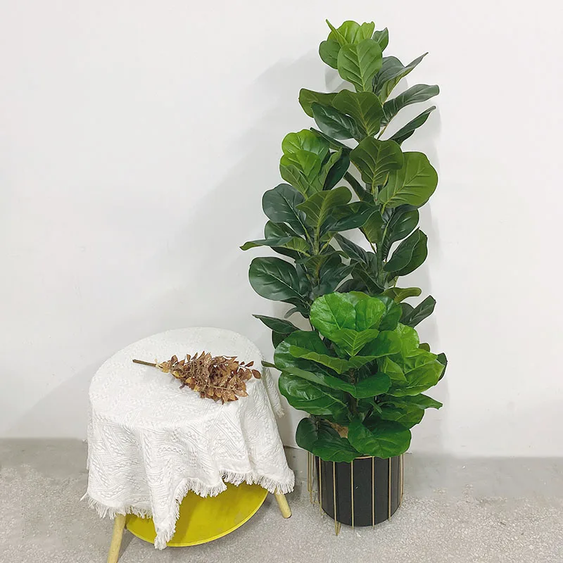 35-150cm 열대 나무 대형 인조 고무나무(피쿠스  - Fiddle Leaf Fig 리뷰 및 가격