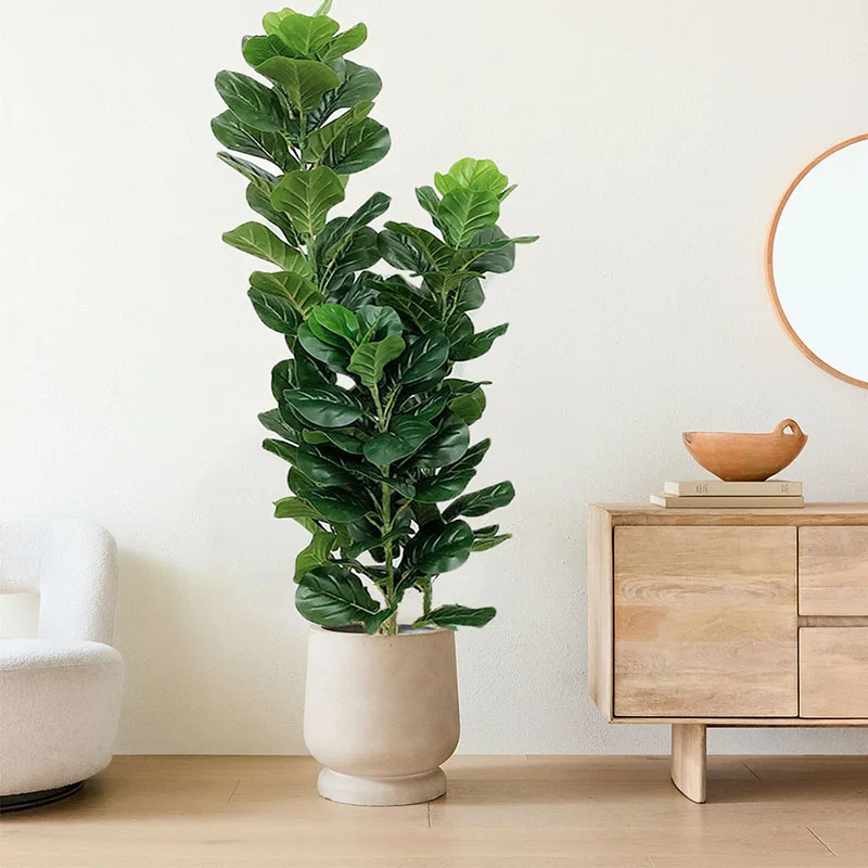 35-150cm 열대 나무 대형 인조 고무나무(피쿠스  - Fiddle Leaf Fig 리뷰 및 가격