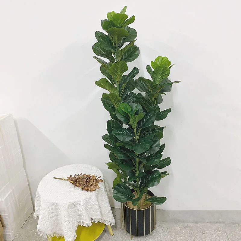 35-150cm 열대 나무 대형 인조 고무나무(피쿠스  - Fiddle Leaf Fig 리뷰 및 가격