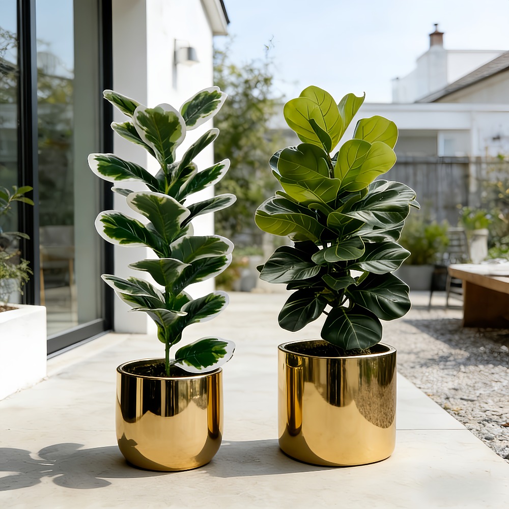 실외 인조 반얀 나무, 정원, 현관, 마당, 사무실,  - Fiddle Leaf Fig 리뷰 및 가격