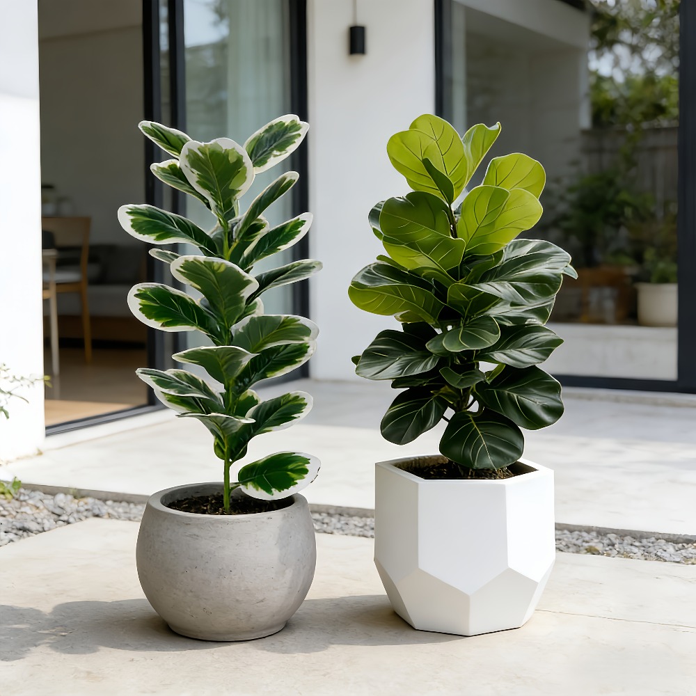 실외 인조 반얀 나무, 정원, 현관, 마당, 사무실,  - Fiddle Leaf Fig 리뷰 및 가격