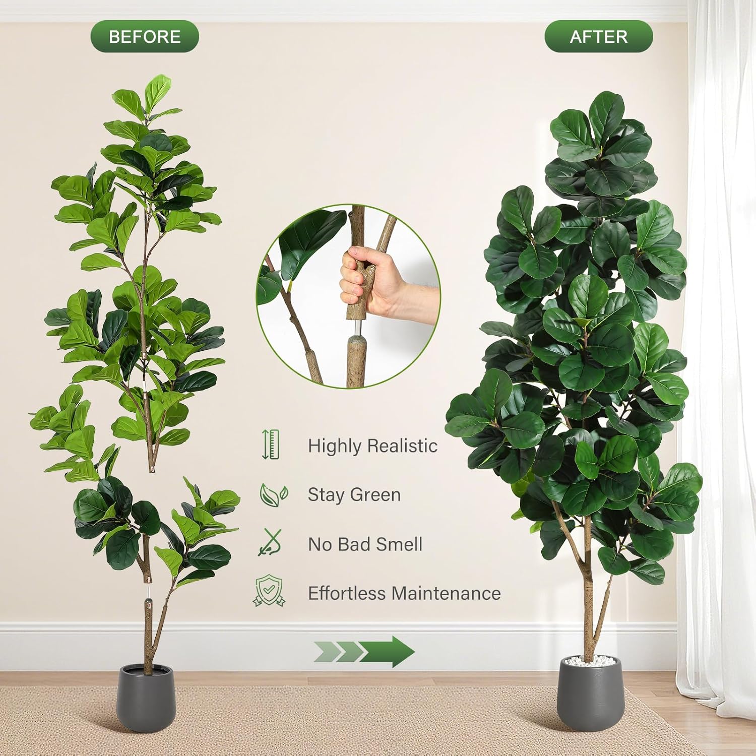4피트/5피트/6피트/7피트 바이올린 잎 무화과 나무  - Fiddle Leaf Fig 리뷰 및 가격