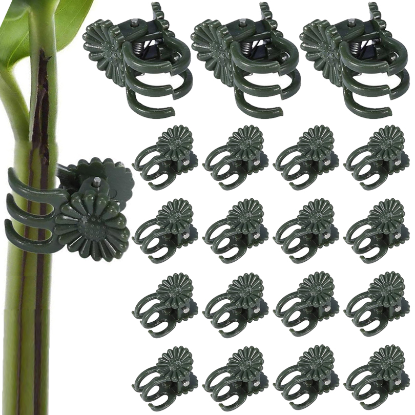 식물 클립 덩굴 클램프 접목용 식물 지지대, 토마토 나 - Plant Parent Tools 리뷰 및 가격