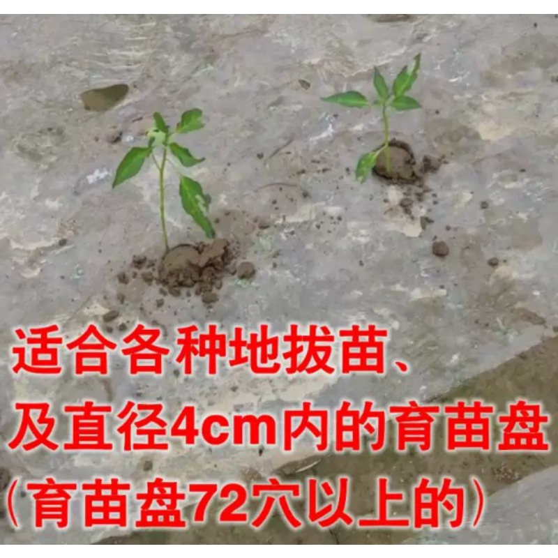 농업용 묘목 이식기 토마토, 피망 묘목 심기용 정원 재 - Plant Parent Tools 리뷰 및 가격
